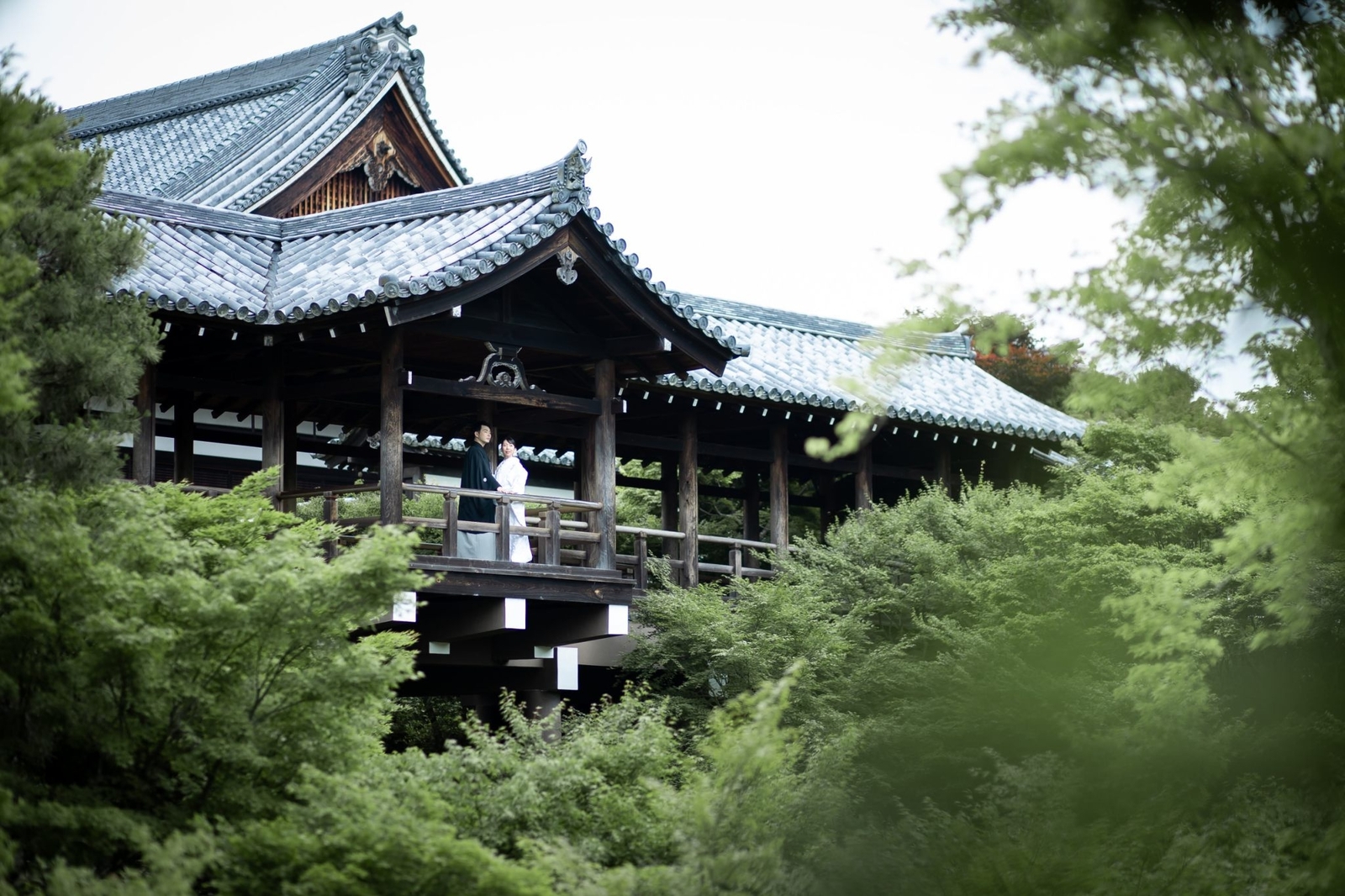 新緑の東福寺