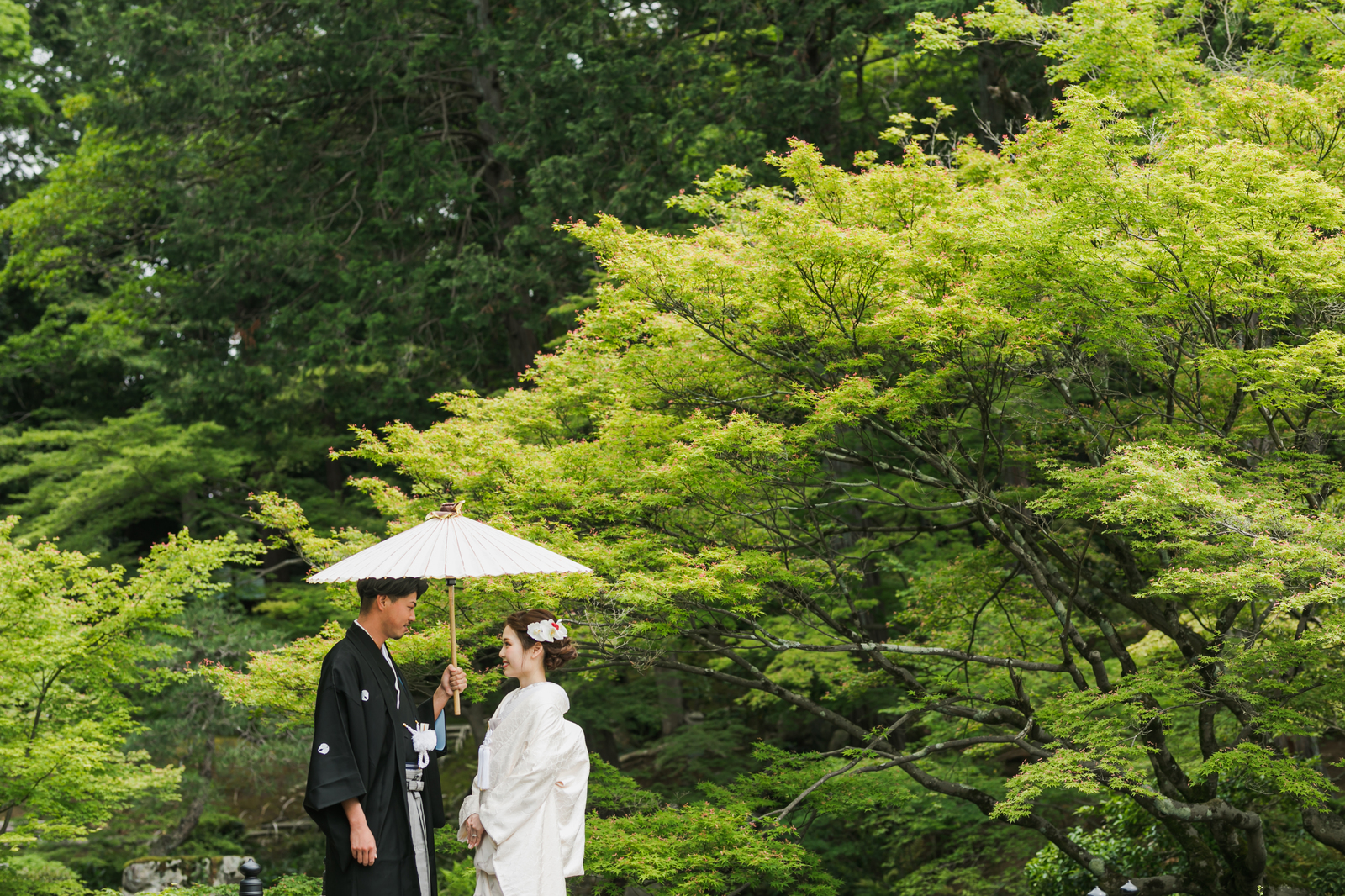 初夏の割引 20%OFF