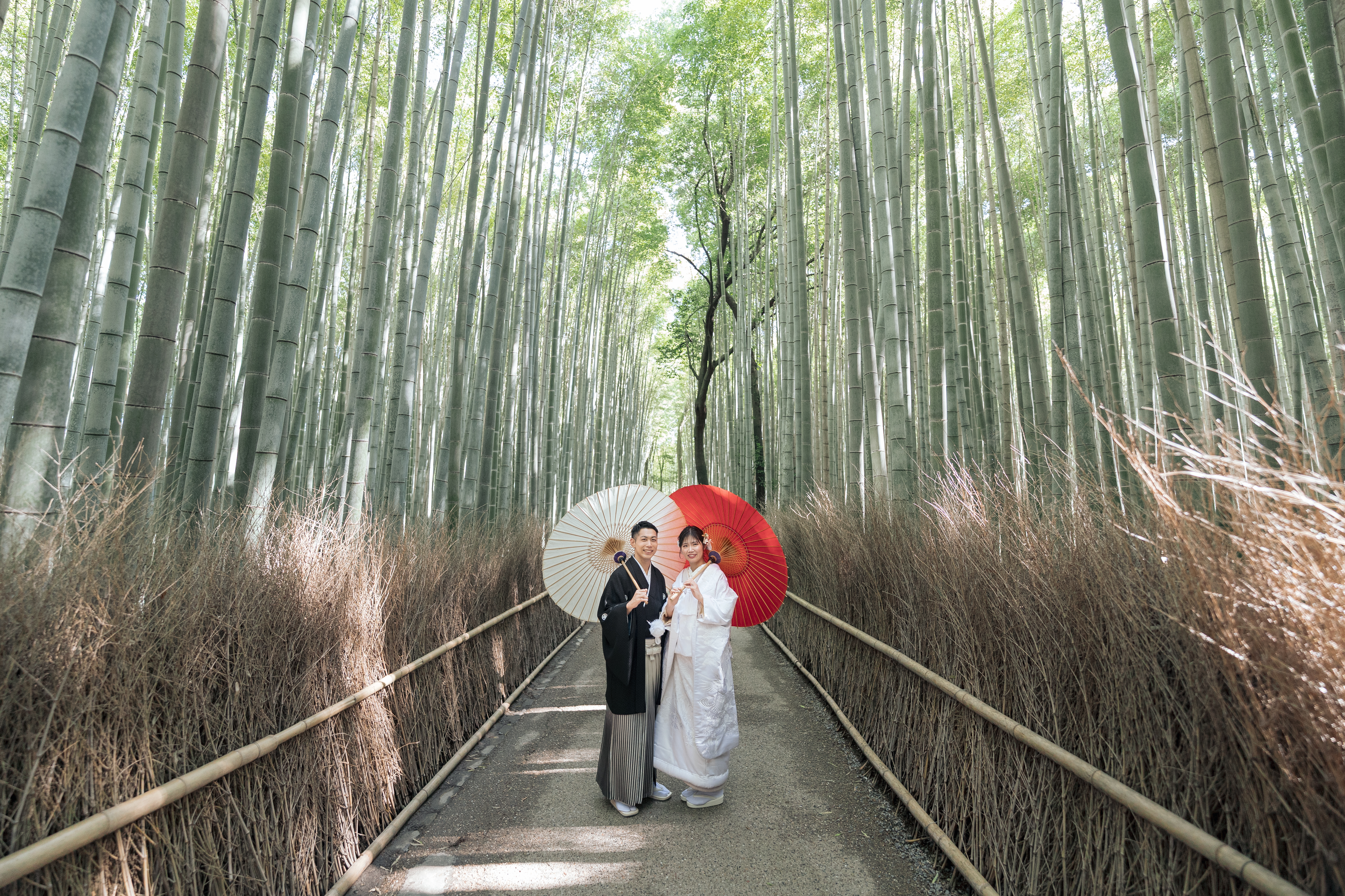 嵐山と京都府庁で撮影をする二人